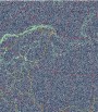 NOAA 18 MSA