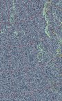 NOAA 18 MSA