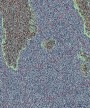 NOAA 19 MCIR